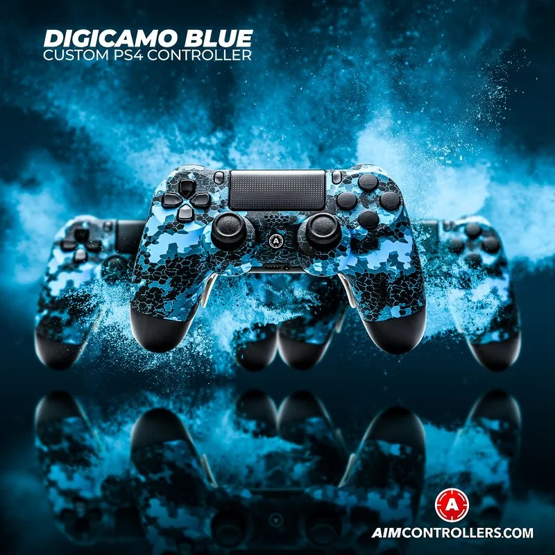Custom PS4 Controller